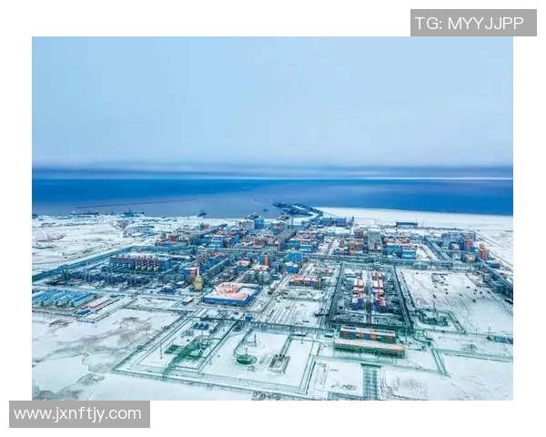 亚马尔地区的资源开发与国际合作新机遇探讨